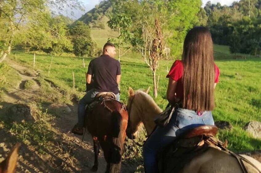 Horseride Salento