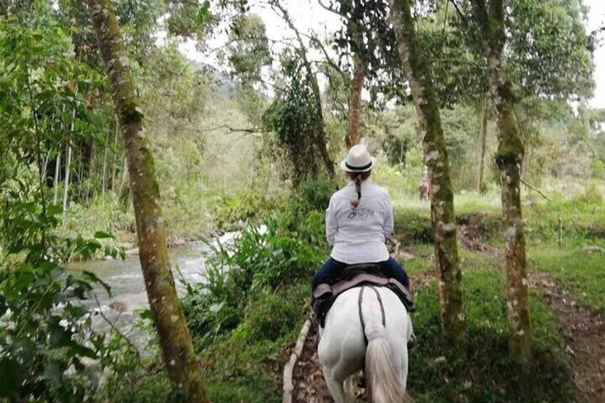 Horseride Salento 