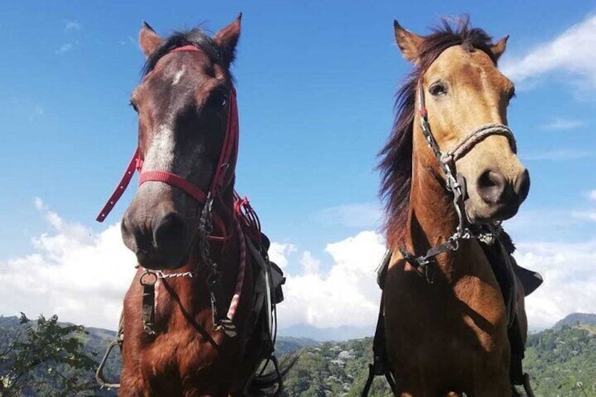 Horseride Salento