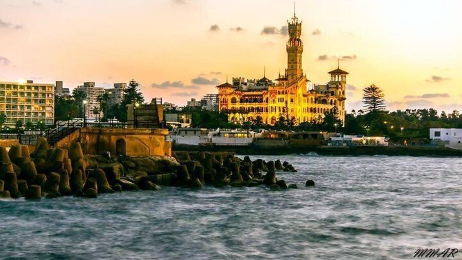 Private Day Tour to Alexandria From Alexandria