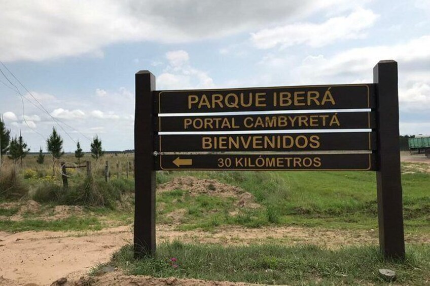 Show item 2 of 10. Ibera Safari