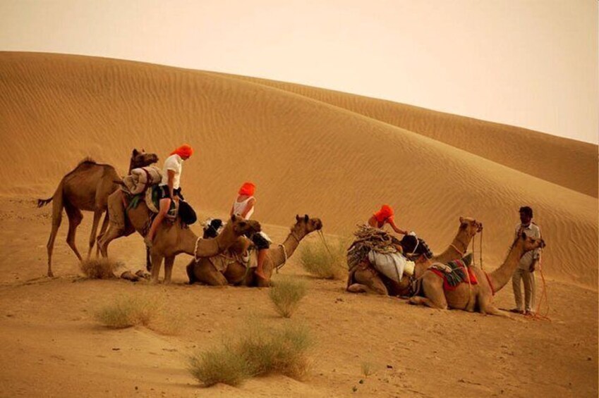 Overnight Camel Safari at Non-Touristic Route