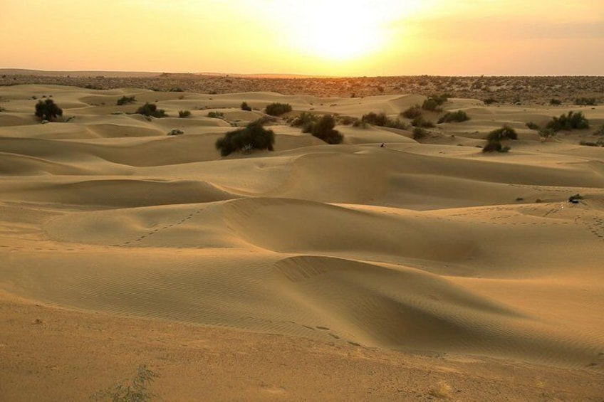 Overnight Camel Safari at Non-Touristic Route