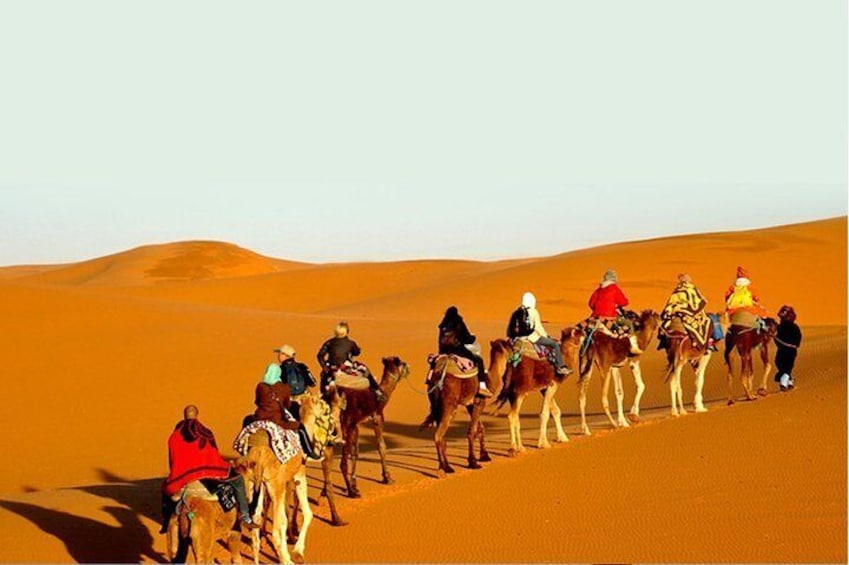 Overnight Camel Safari at Non-Touristic Route