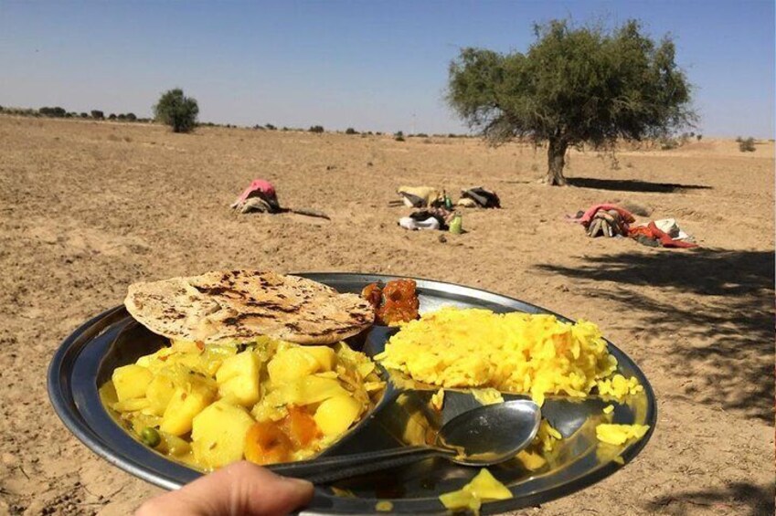 Overnight Camel Safari at Non-Touristic Route