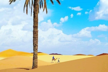 Best Casablanca Desert Trips