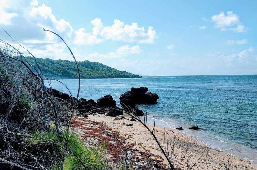Show item 1 of 4. Bath to Bathsheba Run / Hike