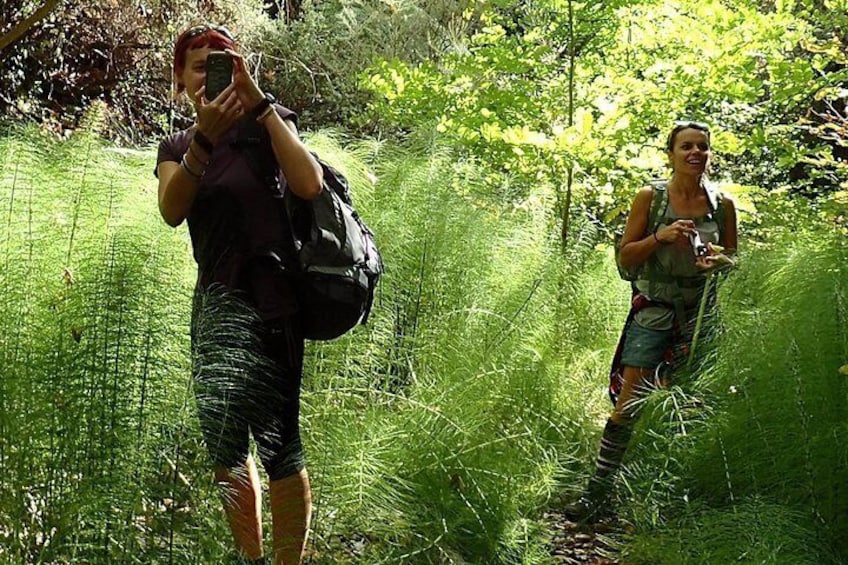 Corfu Countryside Hiking Tour