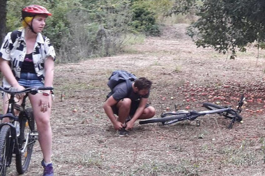 Corfu by bike: Countryside, Forests and Villages