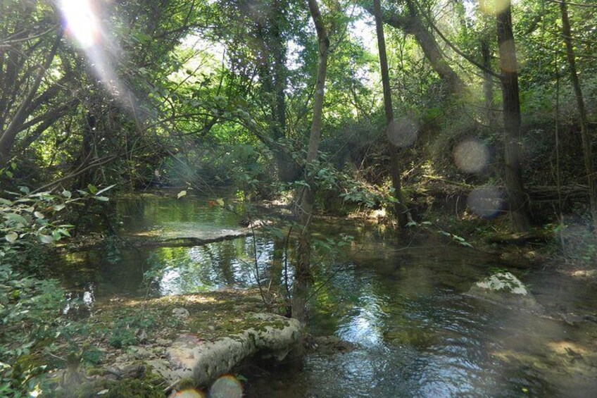 Corfu by bike: Countryside, Forests and Villages