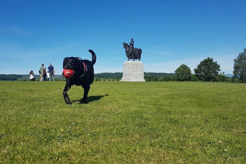 King Robert (and Molly)