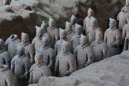 Morning Tour to Terracotta Warriors Museum with Meal