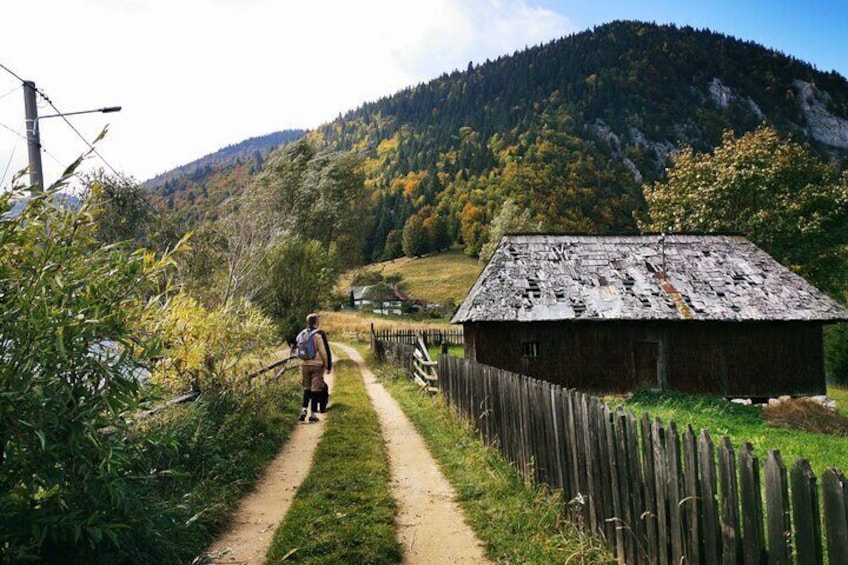 Bucovina area