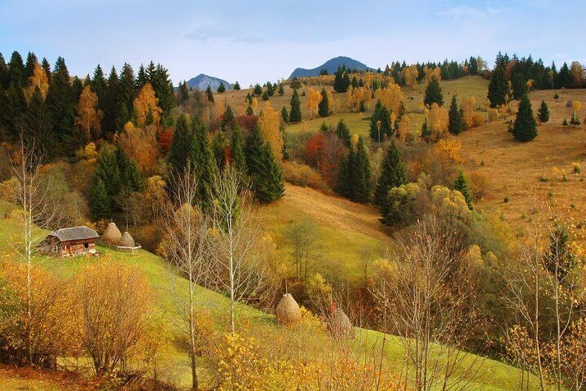 Bucovina's rolling hills