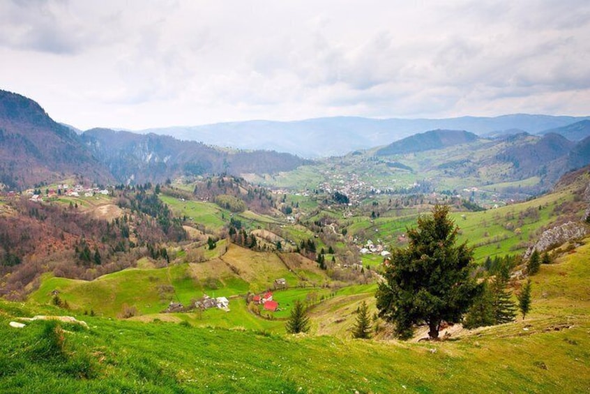 Bucovina's rolling hills