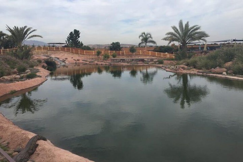 Croco & Anaconda parc Agadir