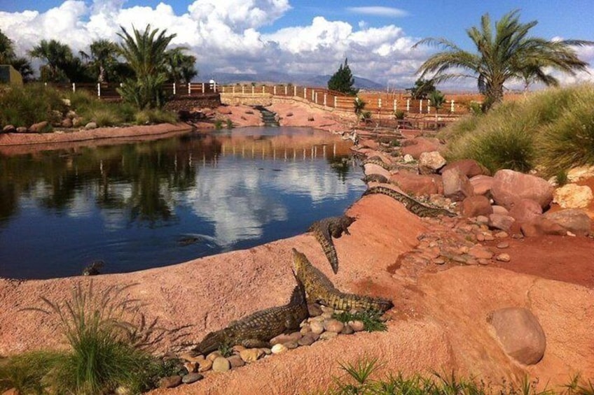 Croco & Anaconda parc Agadir