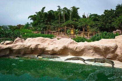 Croco & Anaconda parc Agadir