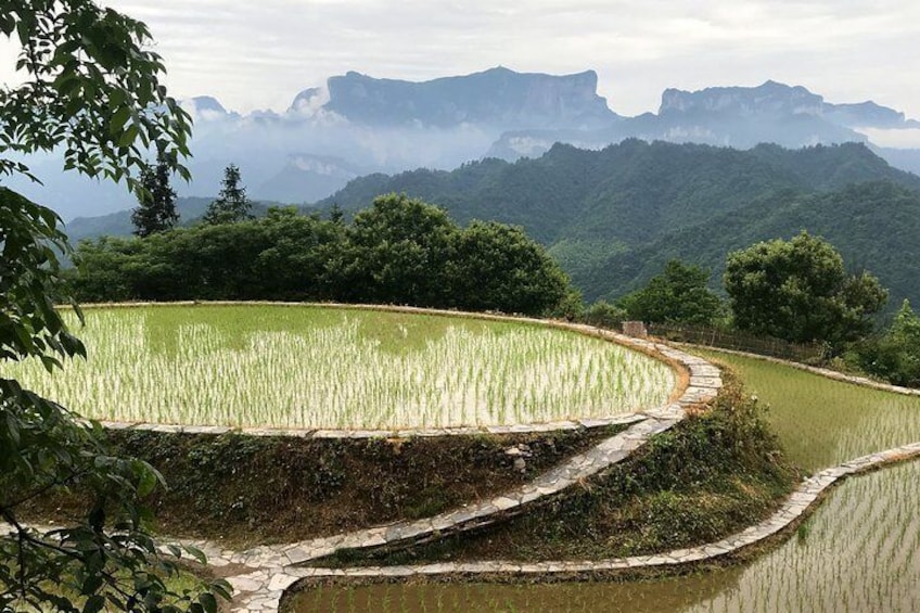 4 Days Zhangjiajie Highlights with Rice Terrace Tour (Classical Boutique Hotel)
