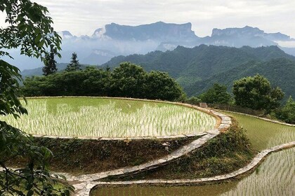 4 Days Zhangjiajie Highlights with Rice Terrace Tour (Classical Boutique Ho...
