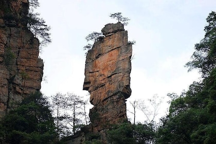3 Days Zhangjiajie Highlights Tour with Glass Bridge (Hand-picked Featured ...