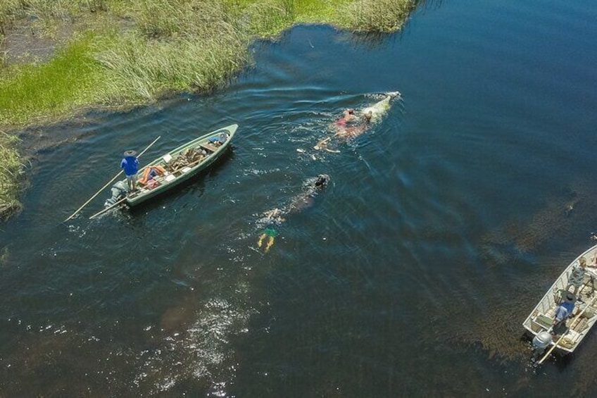 Show item 4 of 8. Tradition, culture and nature in Ibera Marshlands