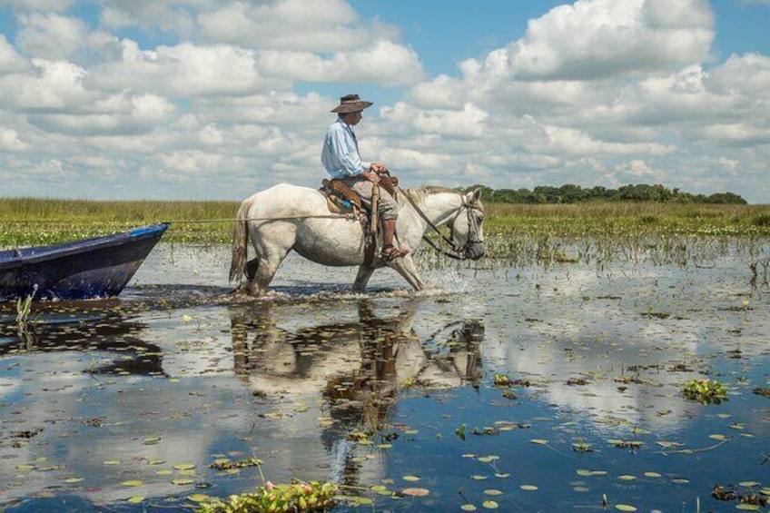 Show item 1 of 8. Tradition, culture and nature in Ibera Marshlands