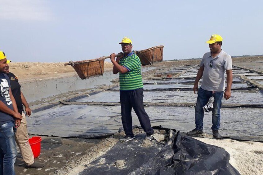 Cox's Bazar Salt Cultivation