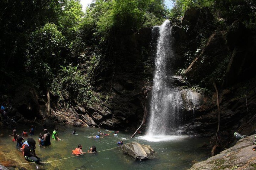 Avocat Waterfall