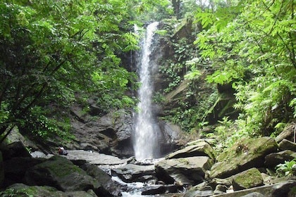 Avocat Waterfall