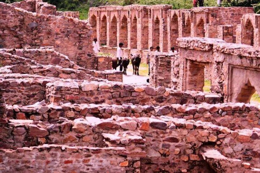 Same Day - Abhaneri | Monkey Temple | Bhangarh Fort from Jaipur