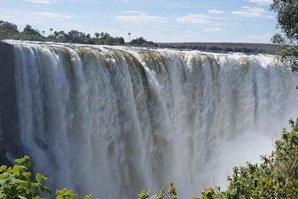 5 Day Victoria Falls and Hwange National Park Accommodated Tour Safari