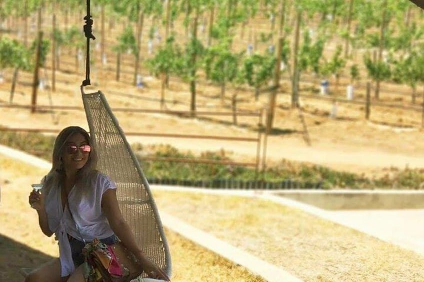 8 hours up to 7 passengers: Valle de Guadalupe Wine Tour by Private SUV