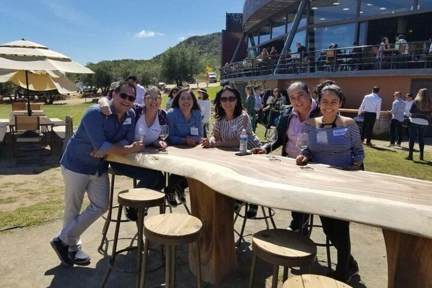 8 hours up to 7 passengers: Valle de Guadalupe Wine Tour by Private SUV