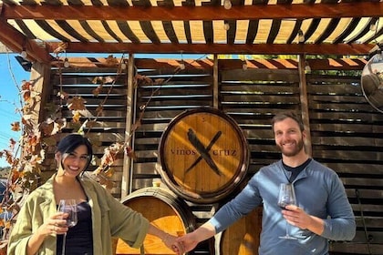 Valle de Guadalupe COUPLES wine tasting for 2