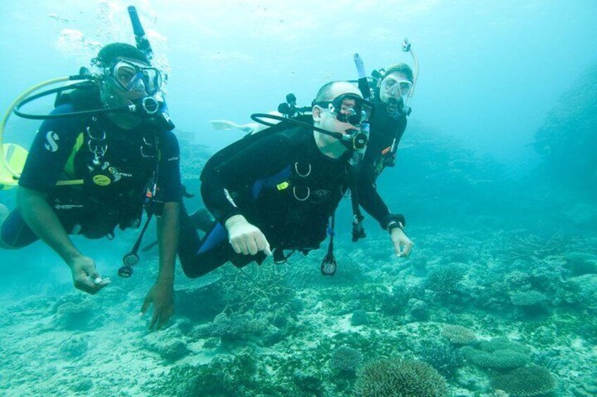 Scuba Diving For Beginners