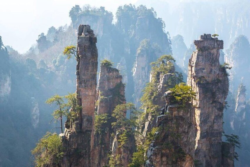 2 Days Private Zhangjiajie Tour Includes the Glass Bridge & National Forest Park