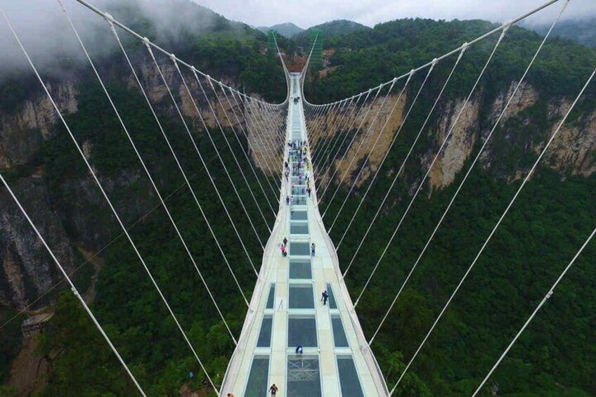 2 Days Private Zhangjiajie Tour Includes the Glass Bridge & National Forest Park