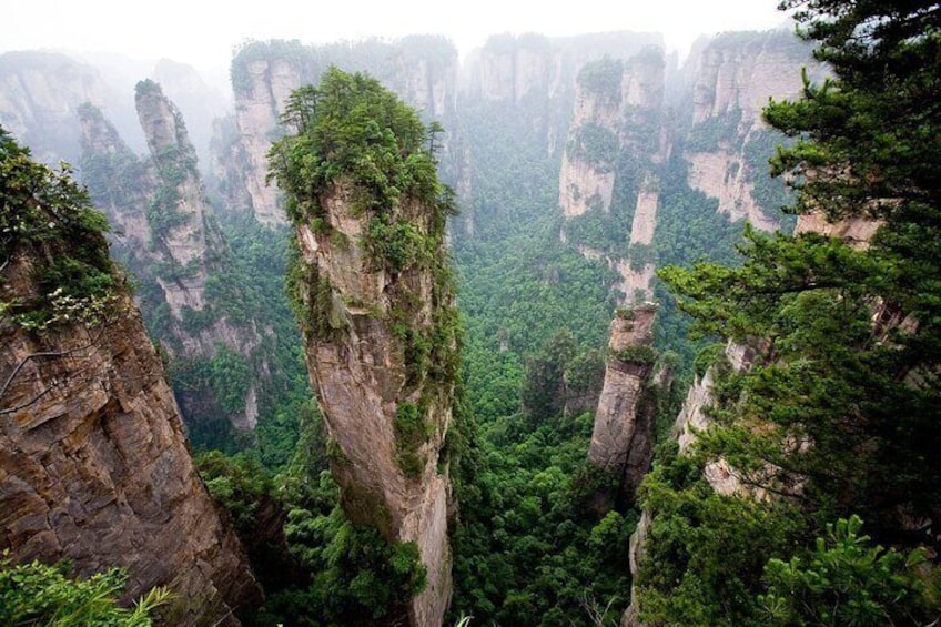 2 Days Private Zhangjiajie Tour Includes the Glass Bridge & National Forest Park