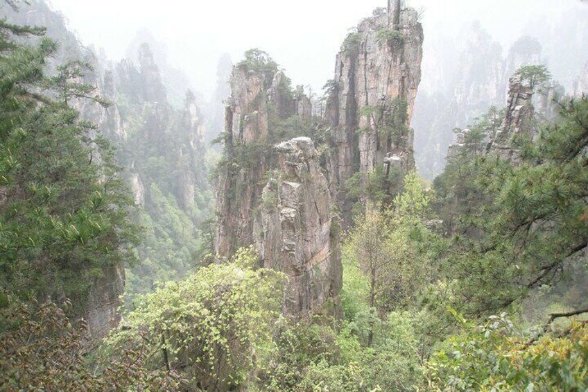 2 Days Private Zhangjiajie Tour Includes the Glass Bridge & National Forest Park