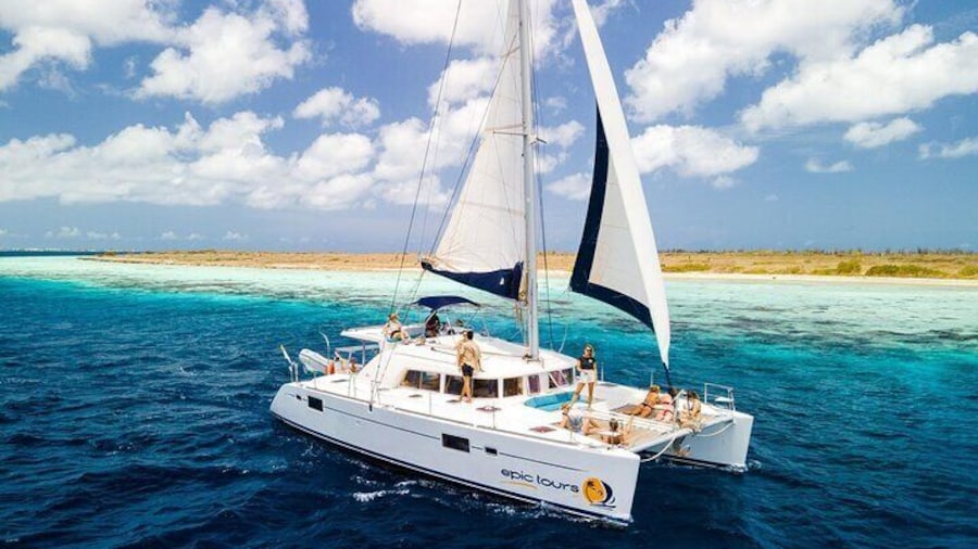 44ft catamaran, the Fly Away
