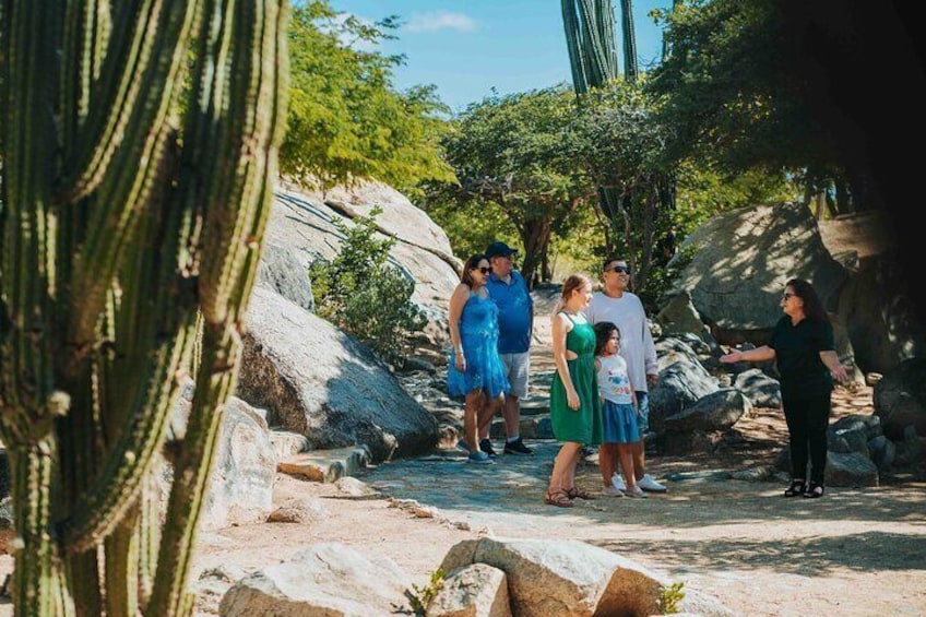 Aruba Island Tour: Landmarks and Scenic Landscapes