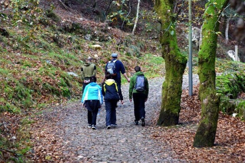 Half Day Hike and Picnic Tour in Porto's Mountains