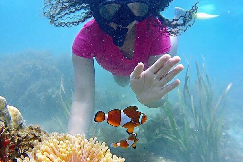 Bintan Snorkeling Tour