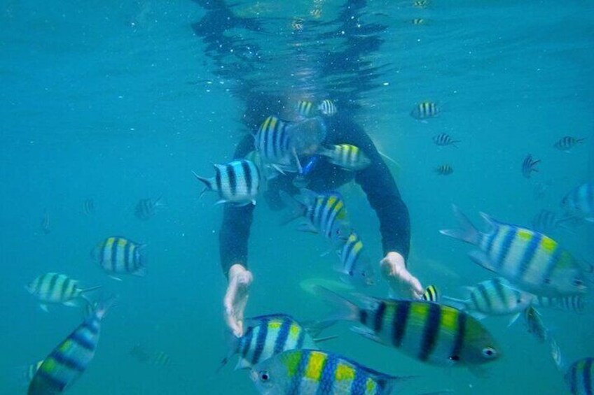 Bintan Snorkeling Tour