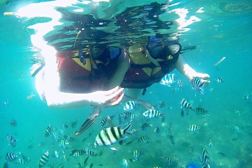 Bintan Snorkeling Tour