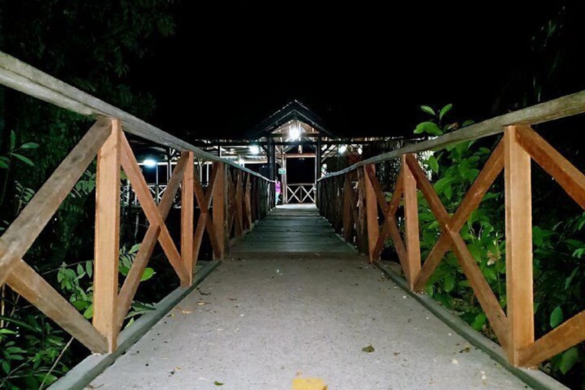 Bintan Fireflies Discovery Tour