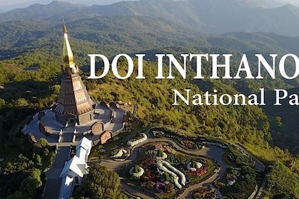 CHIANG MAI: Doi Inthanon NationPark-Royal Project-Waterfall-Lunch