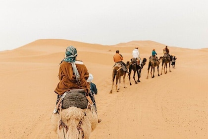 1 night Camel Trek over Erg Chebbi Dunes Merzouga No Extra