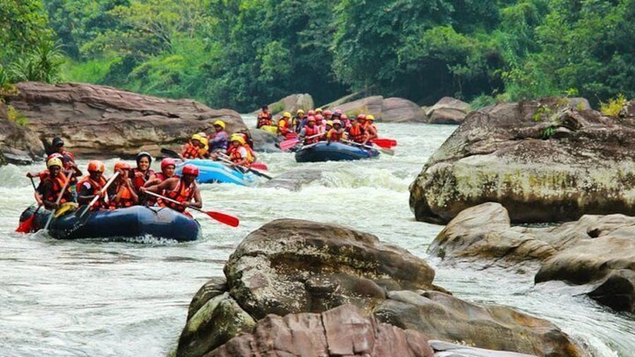 White Water Rafting in Kitulgala